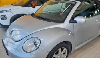 VW Beetle
